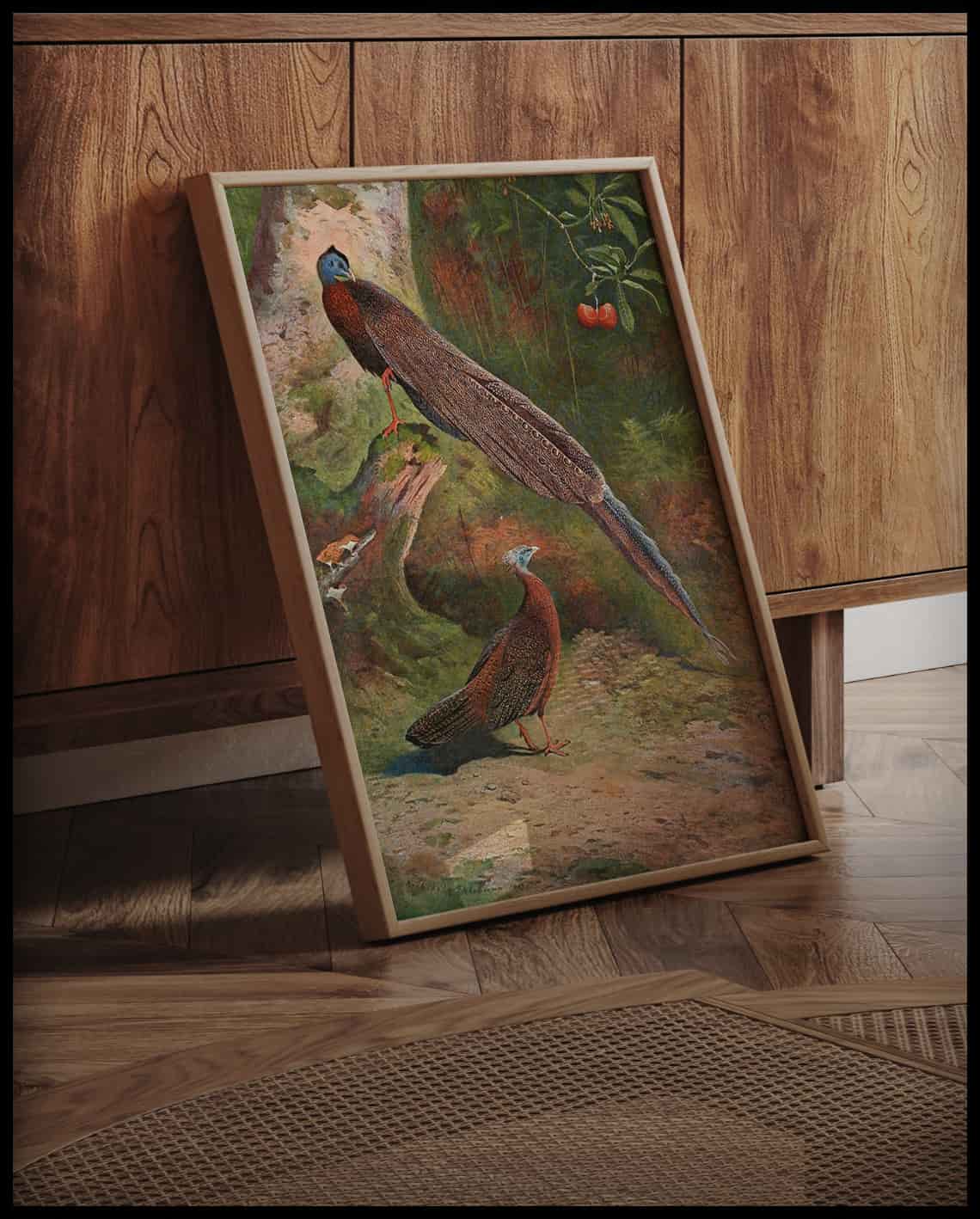 Argusfasan Poster