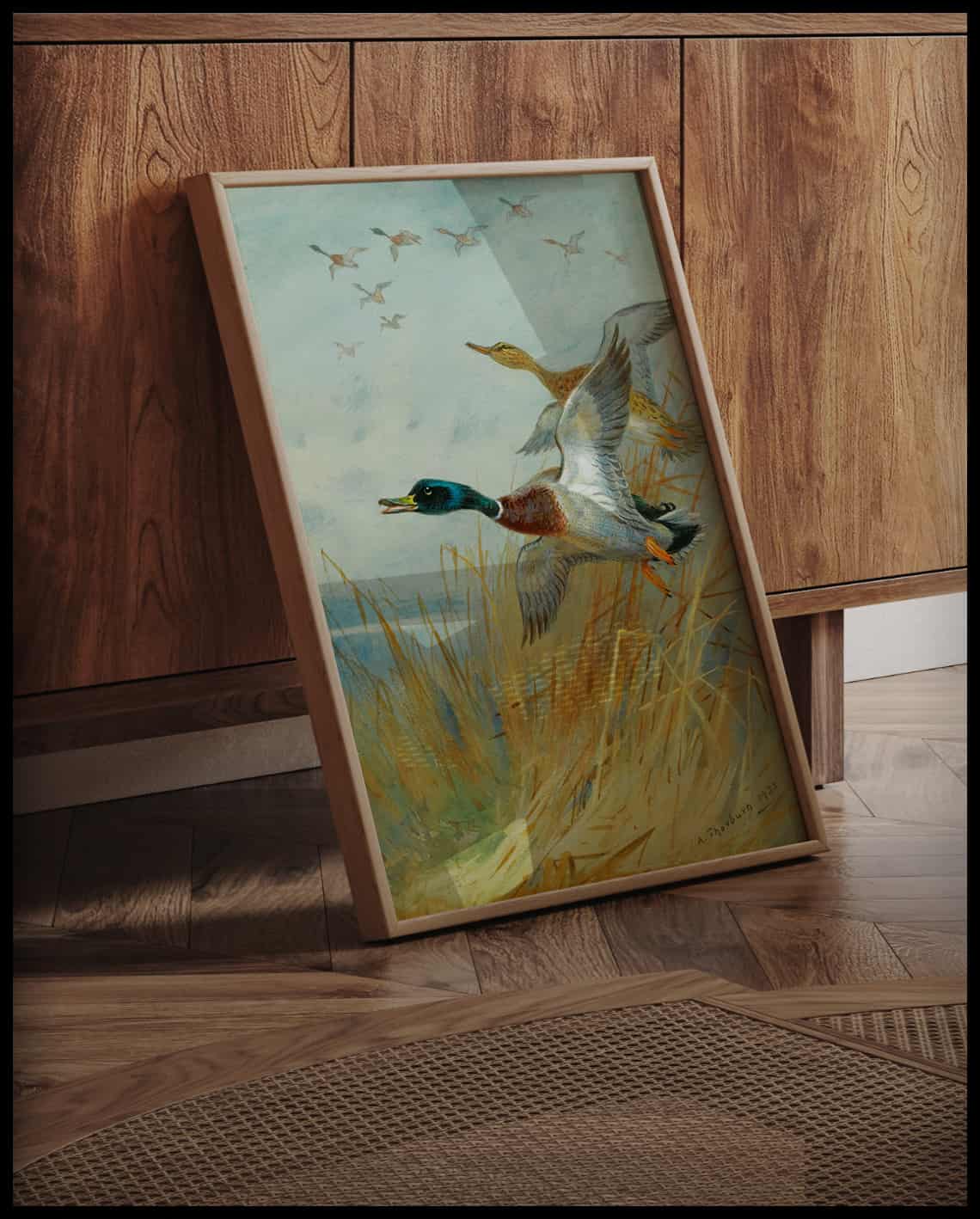Mallard ducks poster