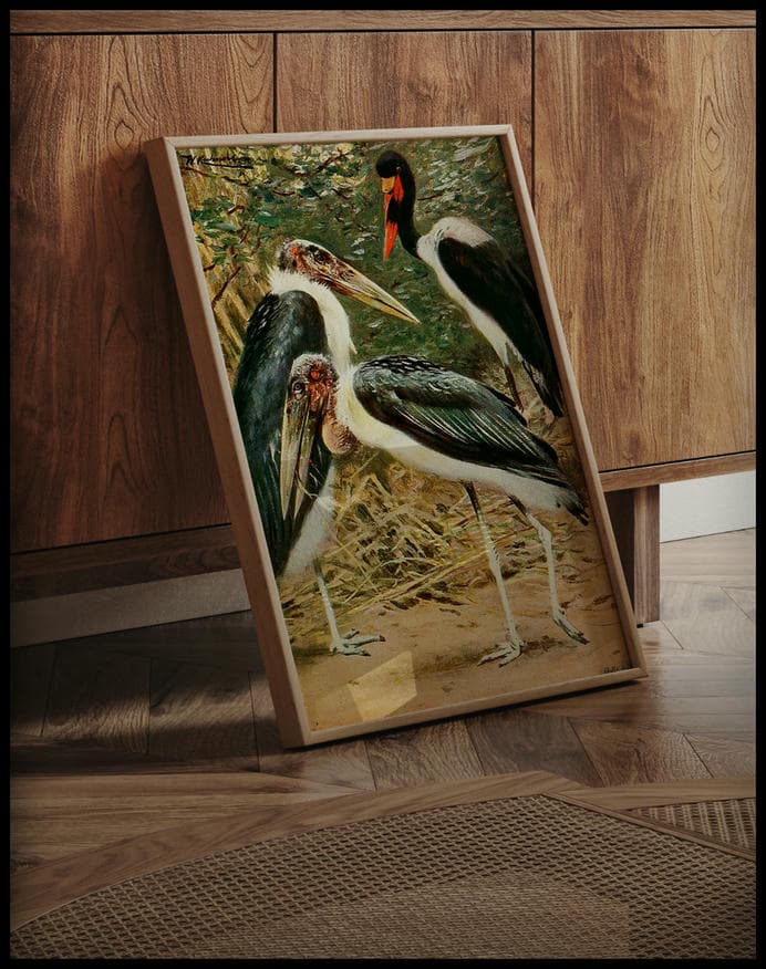 Marabou And Jabiru