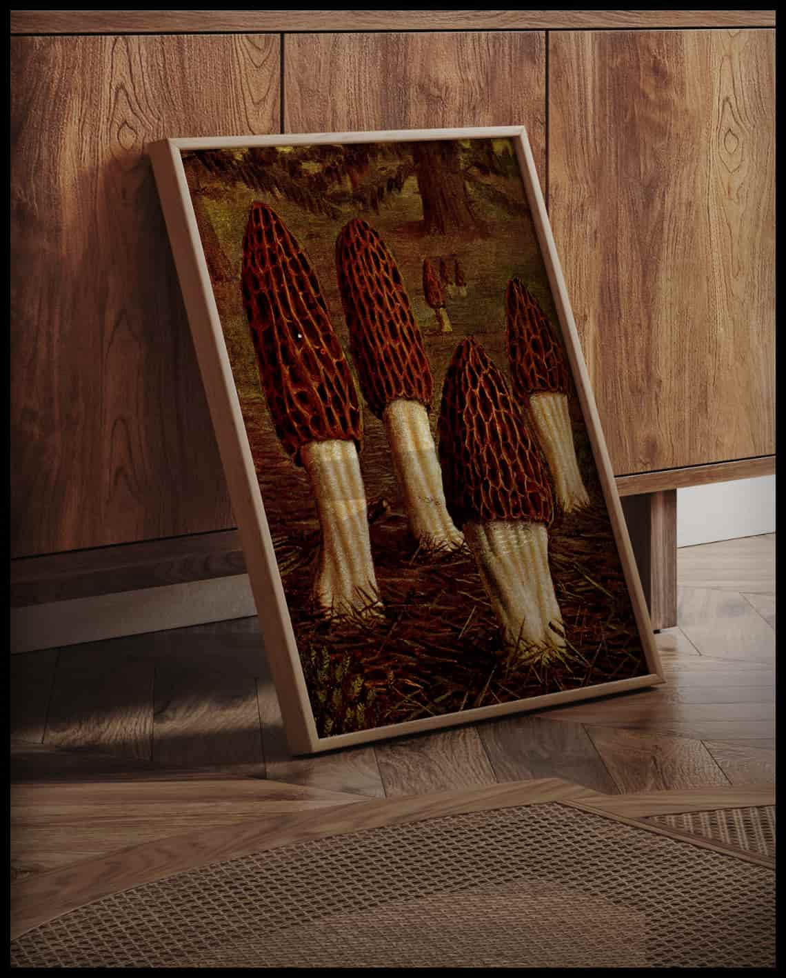 Morchella Elata