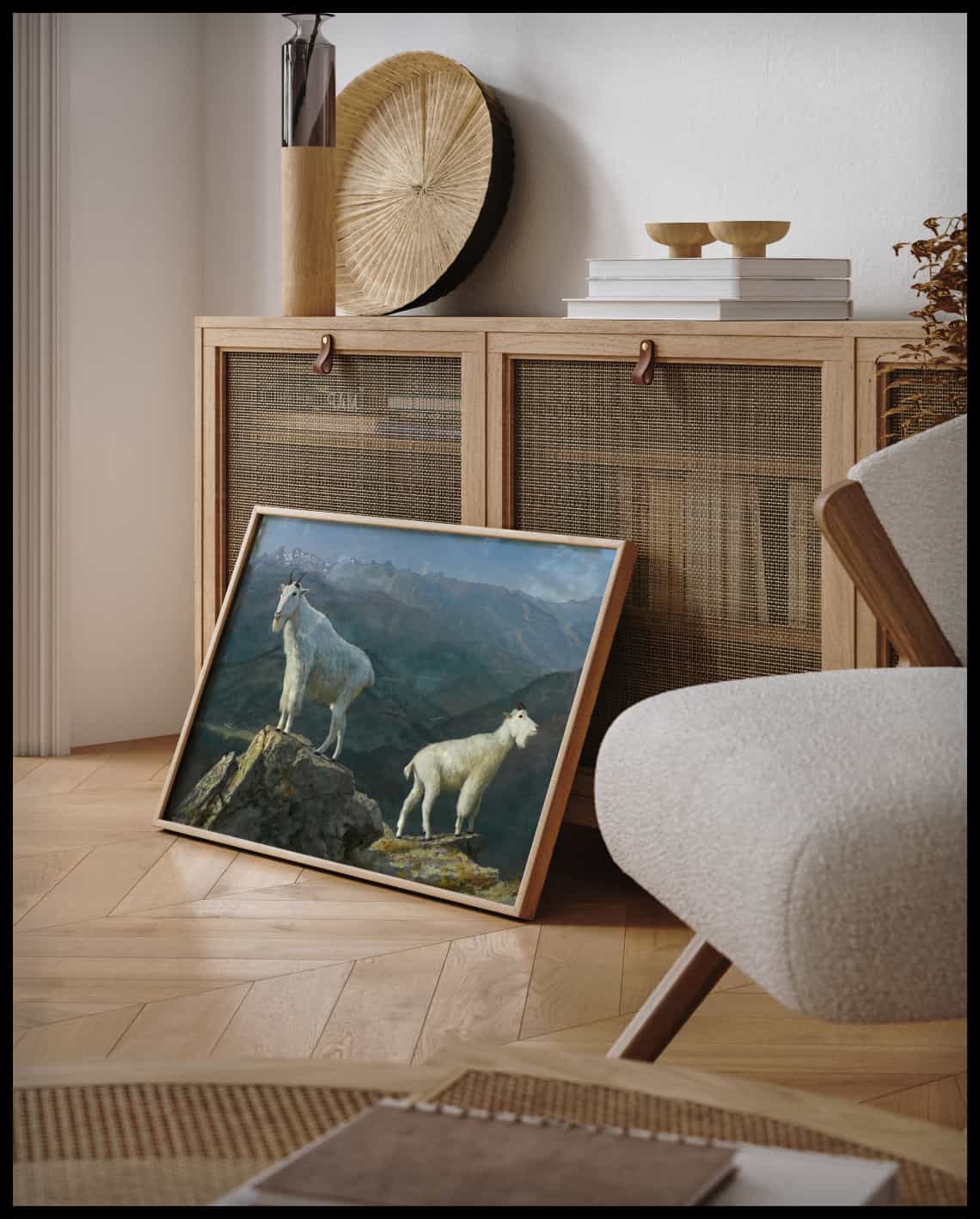 Chèvres de montagne