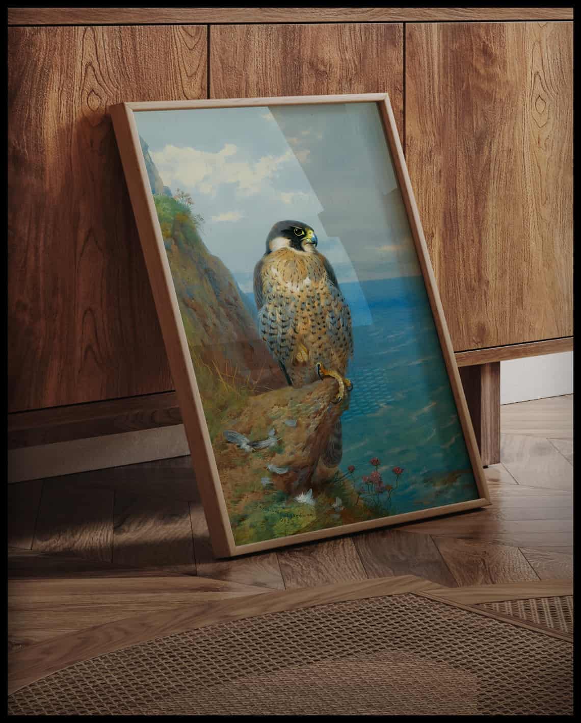 Peregrine falcon poster