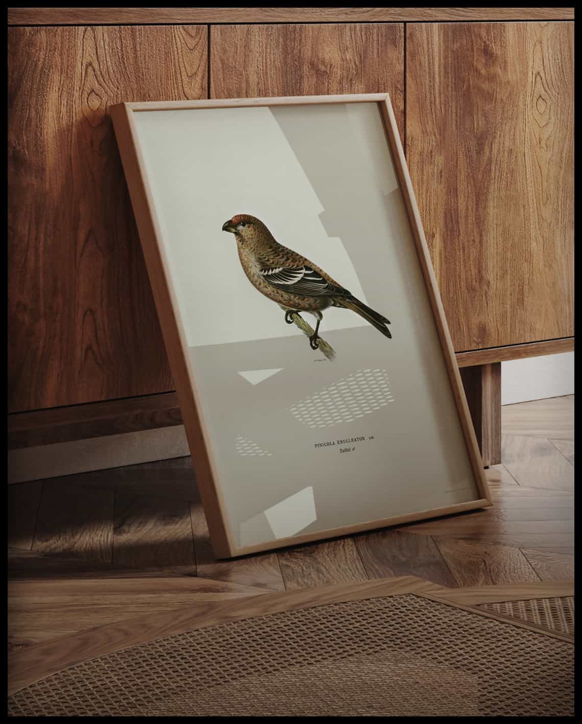 Pinicola Enucleator Poster