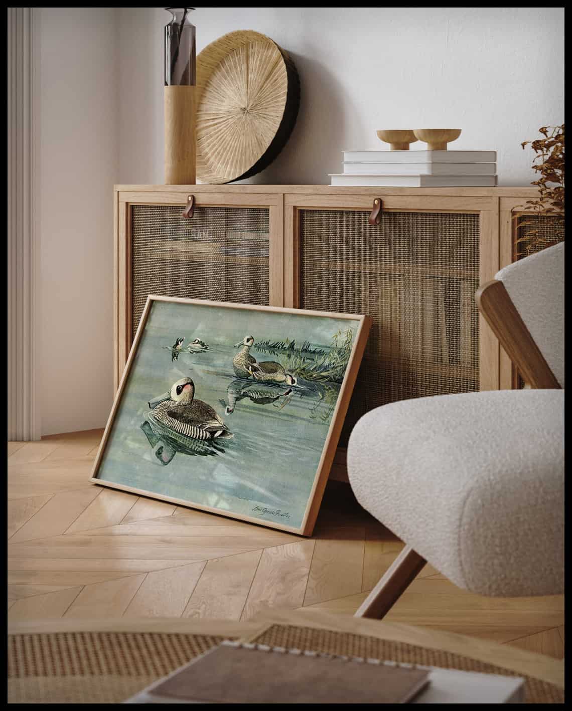 Rose-eared Duck Poster
