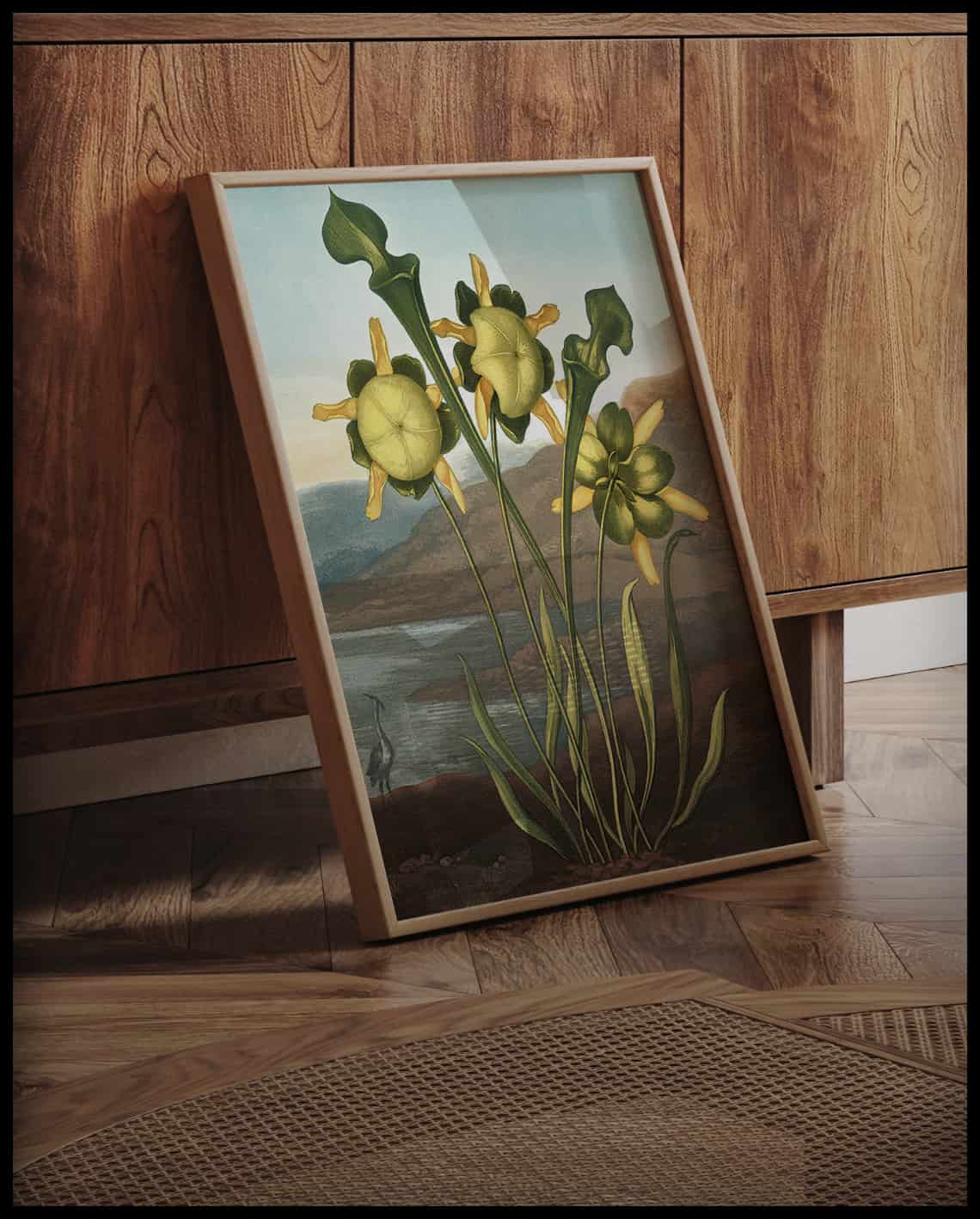 Pitcher Plant