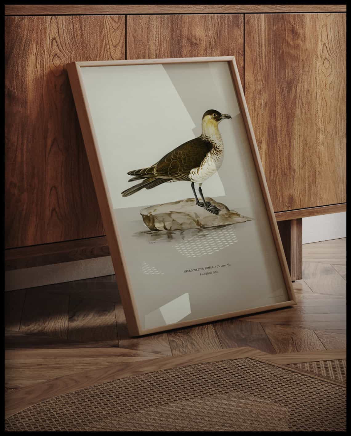 Stercorarius Pomarinus Poster