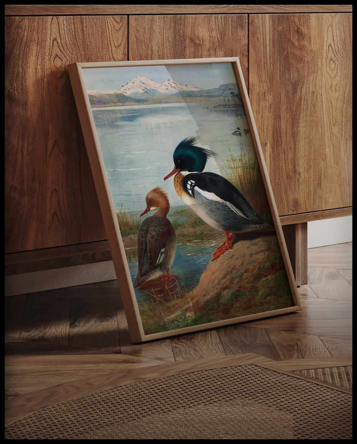 Gänsesäger Poster