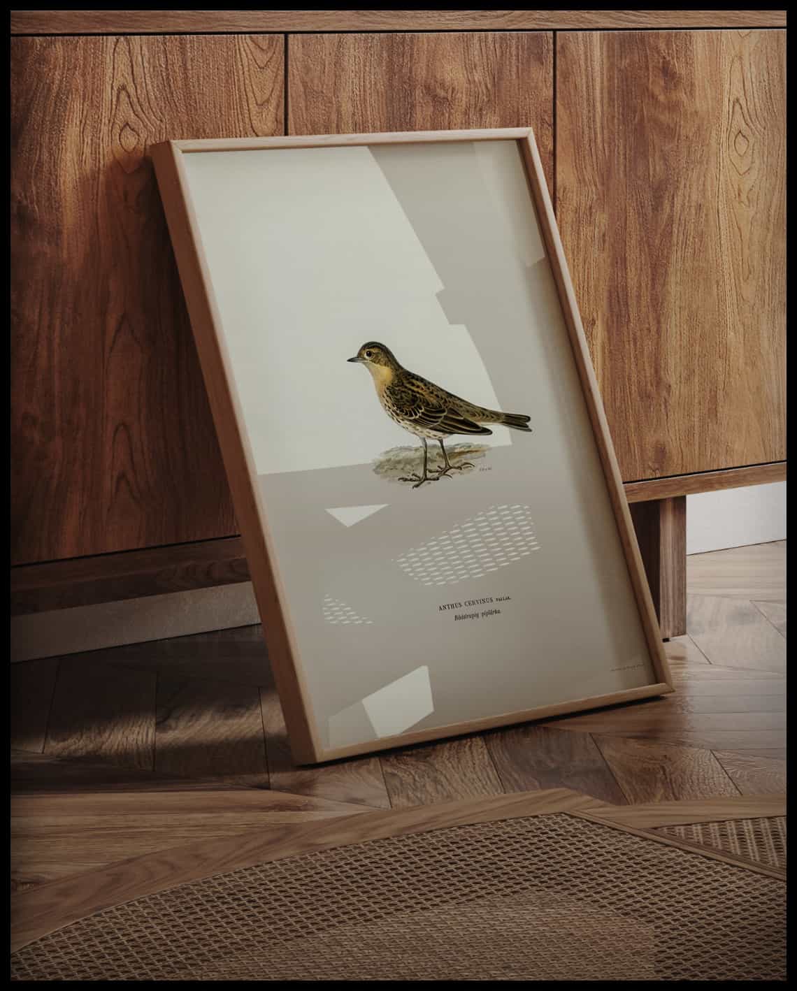 Anthus Cervinus Poster
