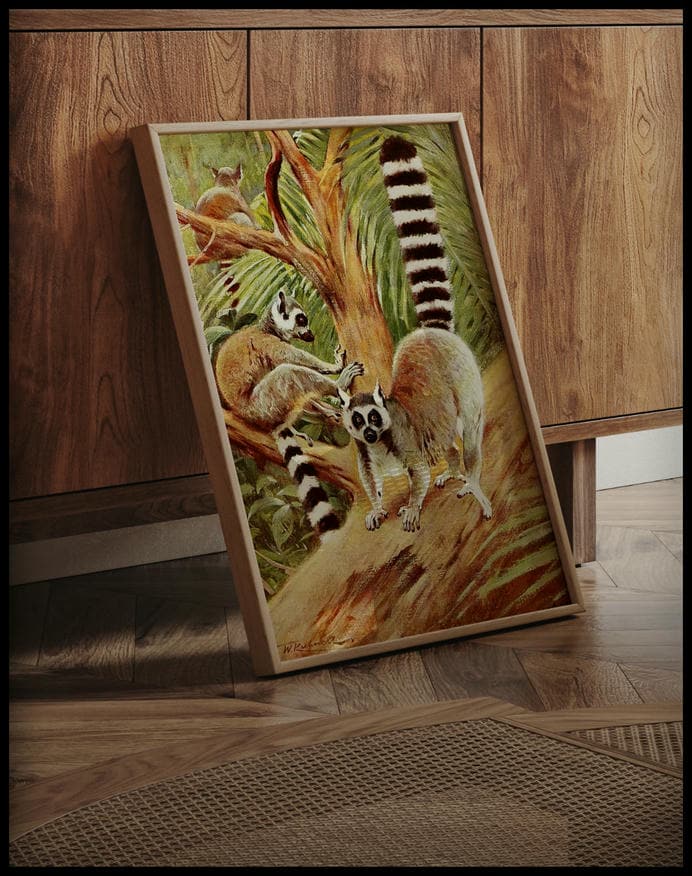 Ring Tailed Lemur