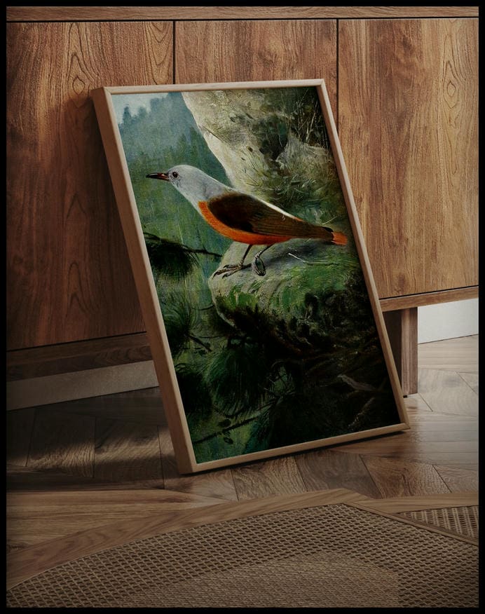 Rock Thrush