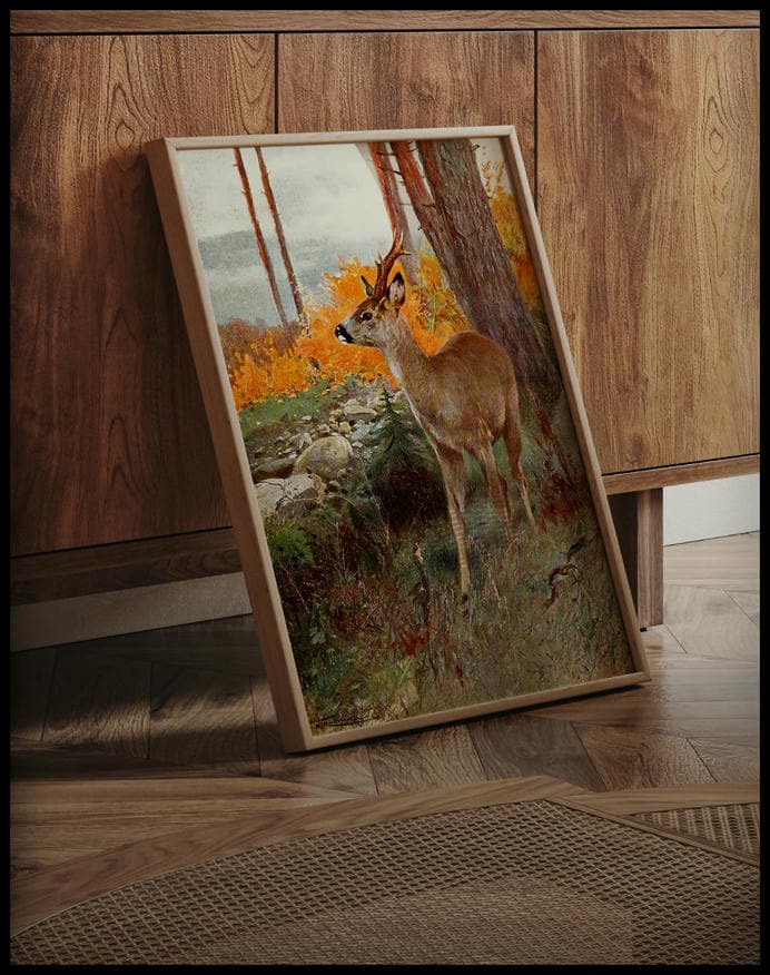 Roe Deer