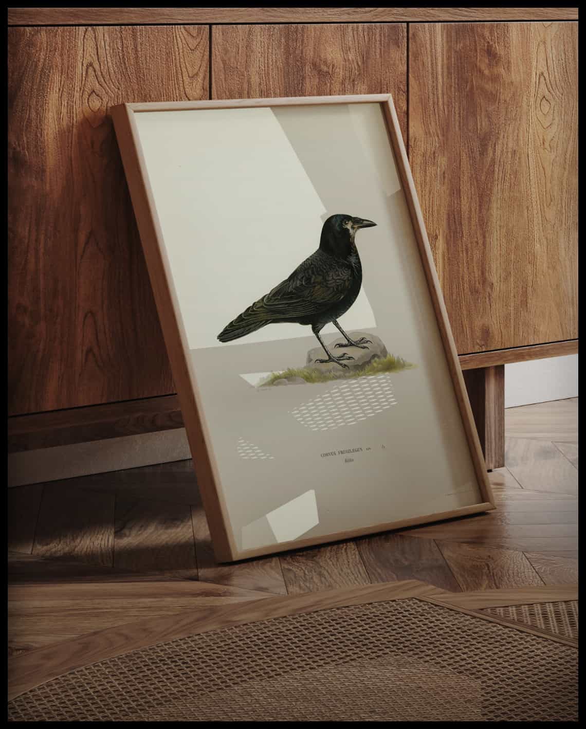 Corvus Frugilegus Poster