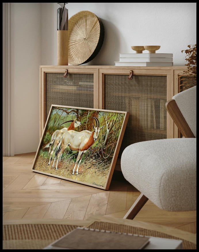Sable Antelope