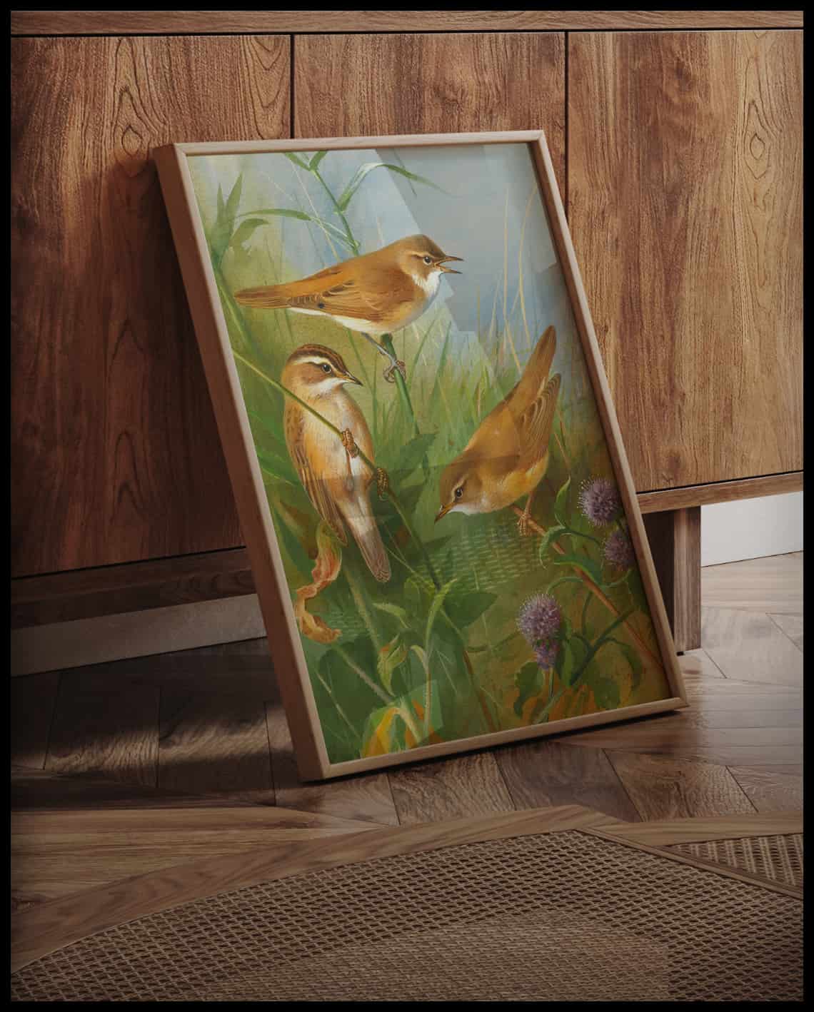 Warbler poster