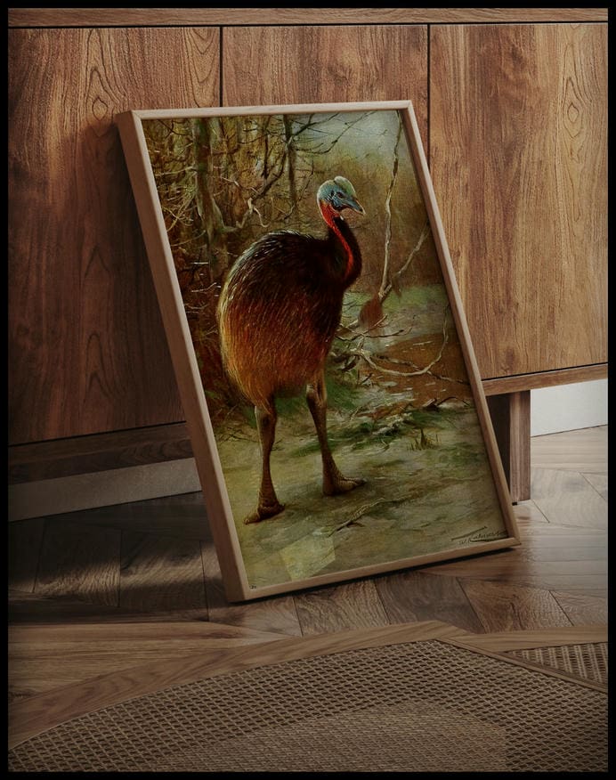 Single Wattled Cassowary
