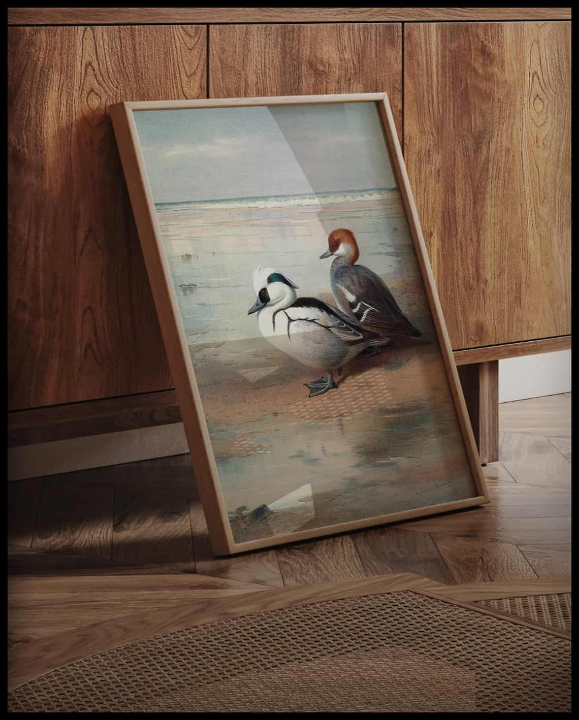 Pygmy Merganser Poster