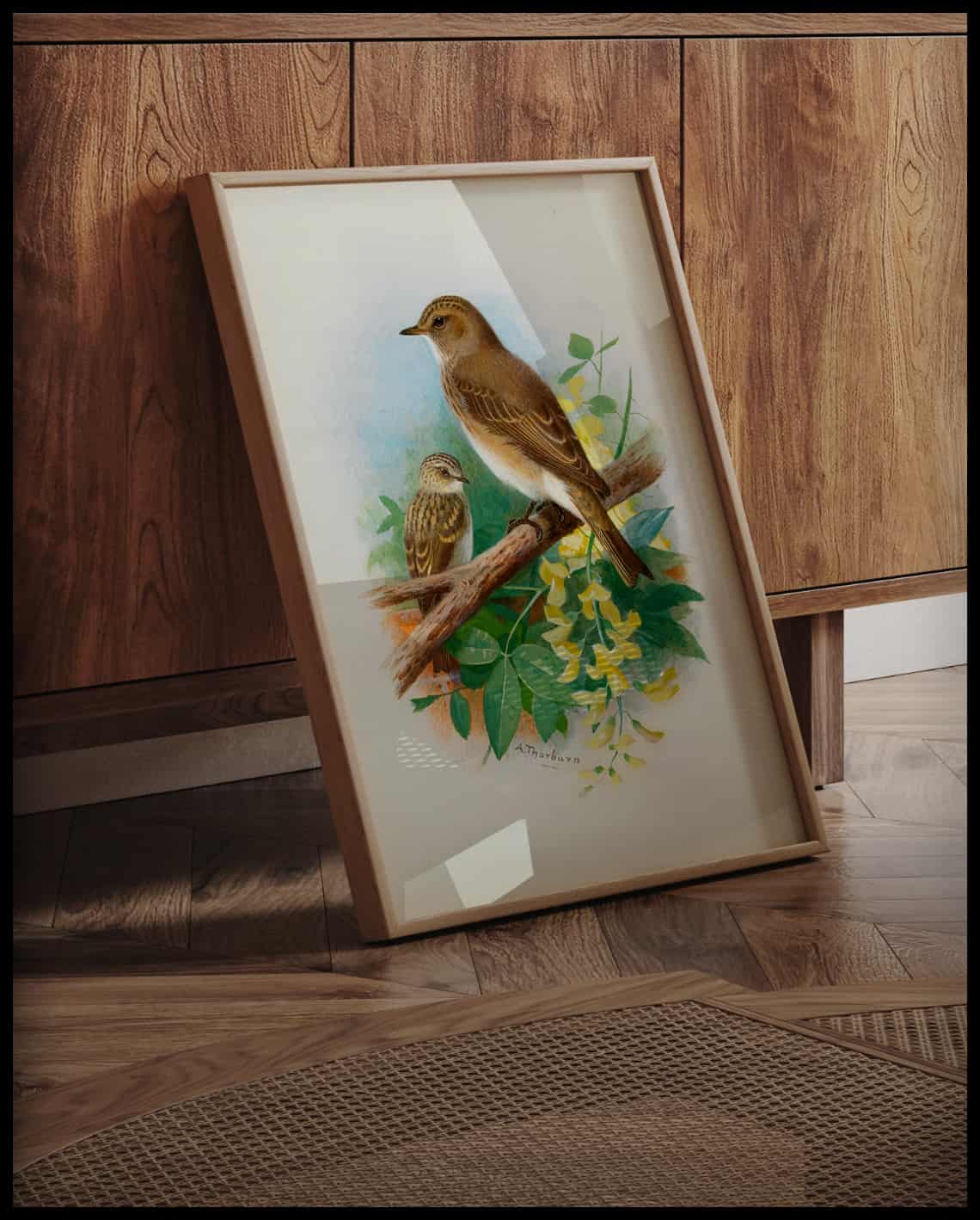 Gray flycatcher poster