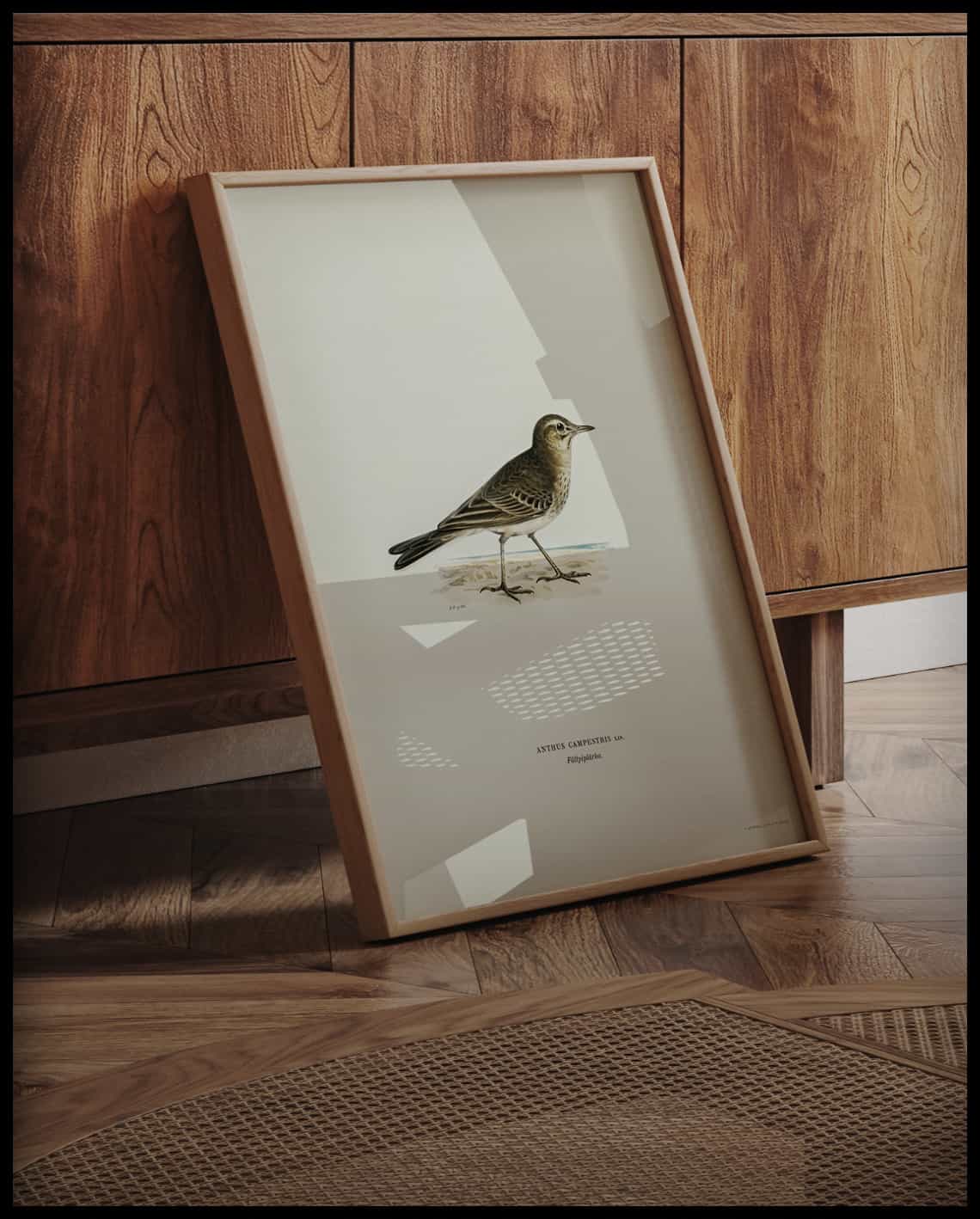 Anthus Campestris Poster