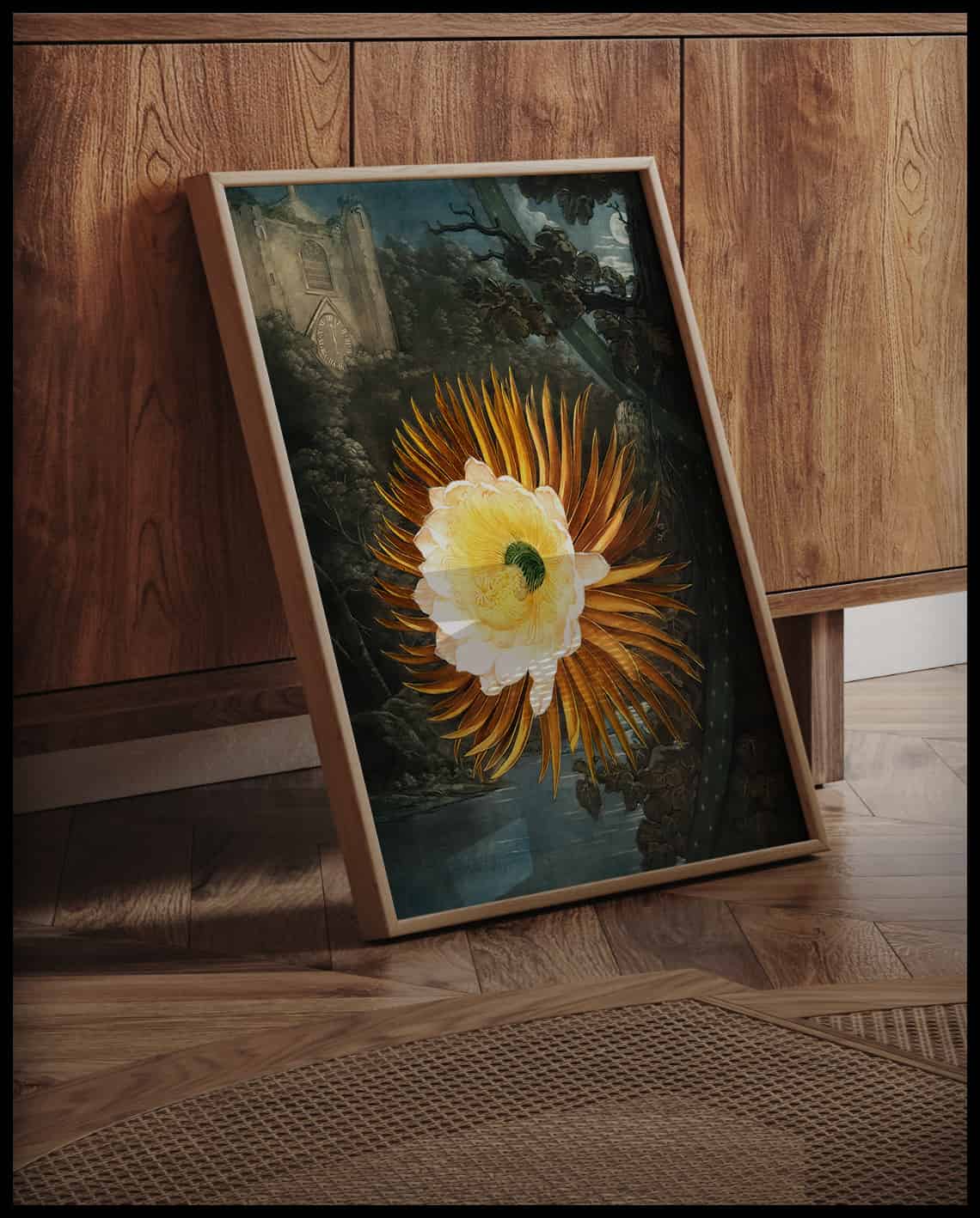 Night Blowing Cereus