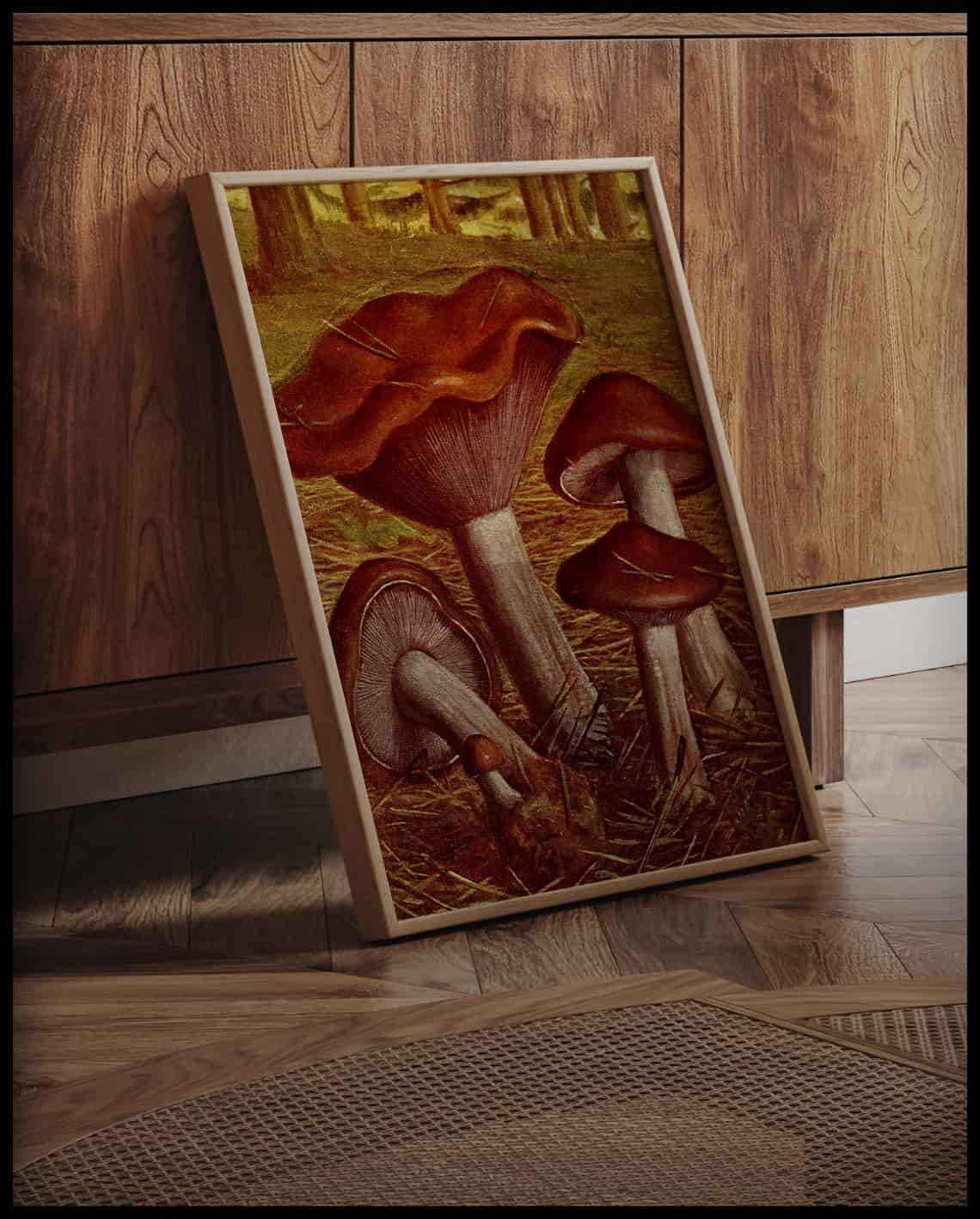 Tricholoma Nudum