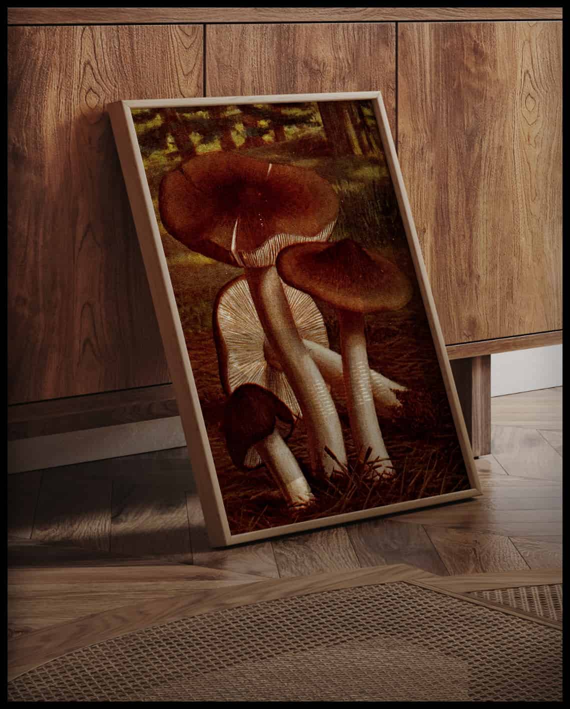 Tricholoma Terreum