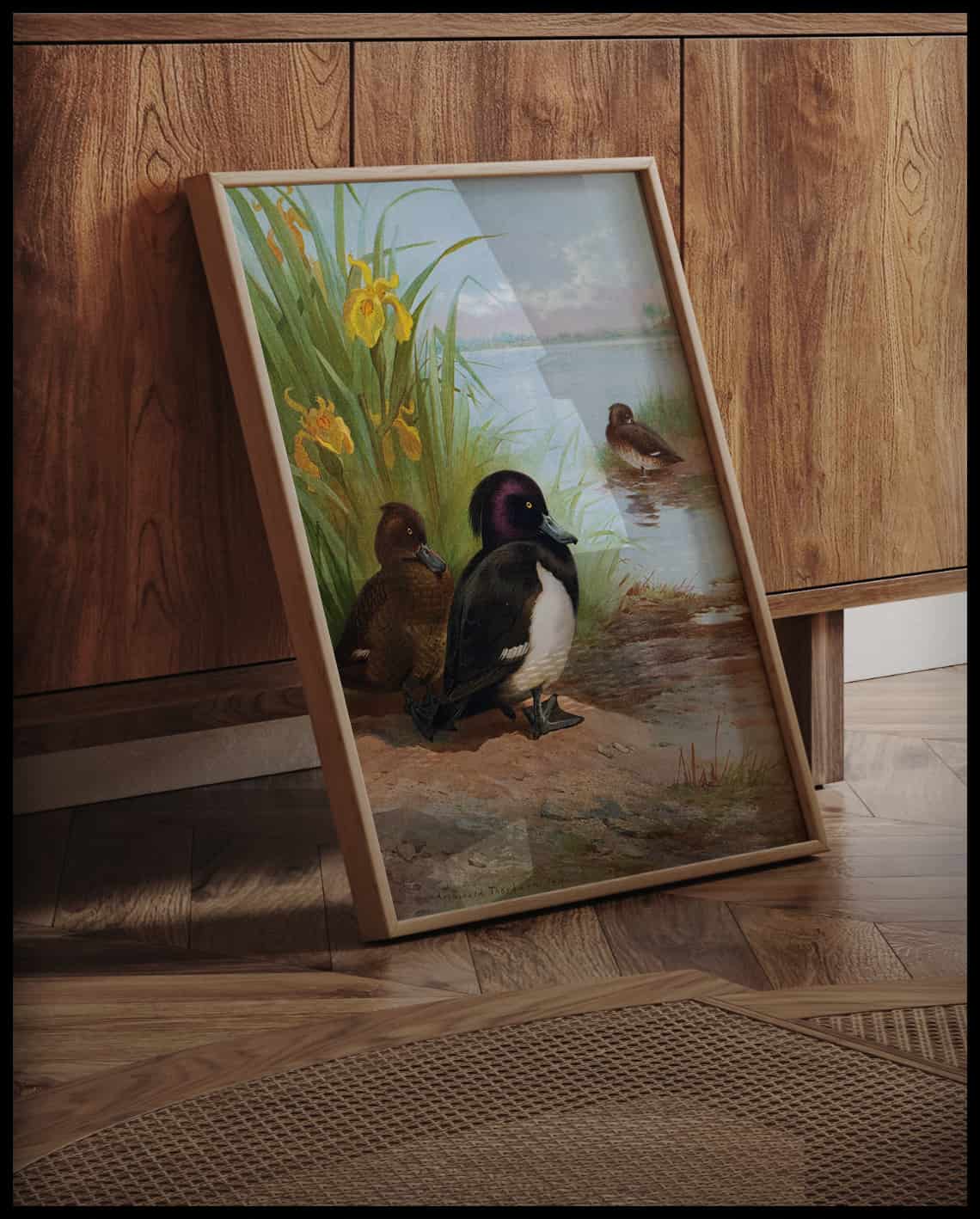Tufted Duck Poster