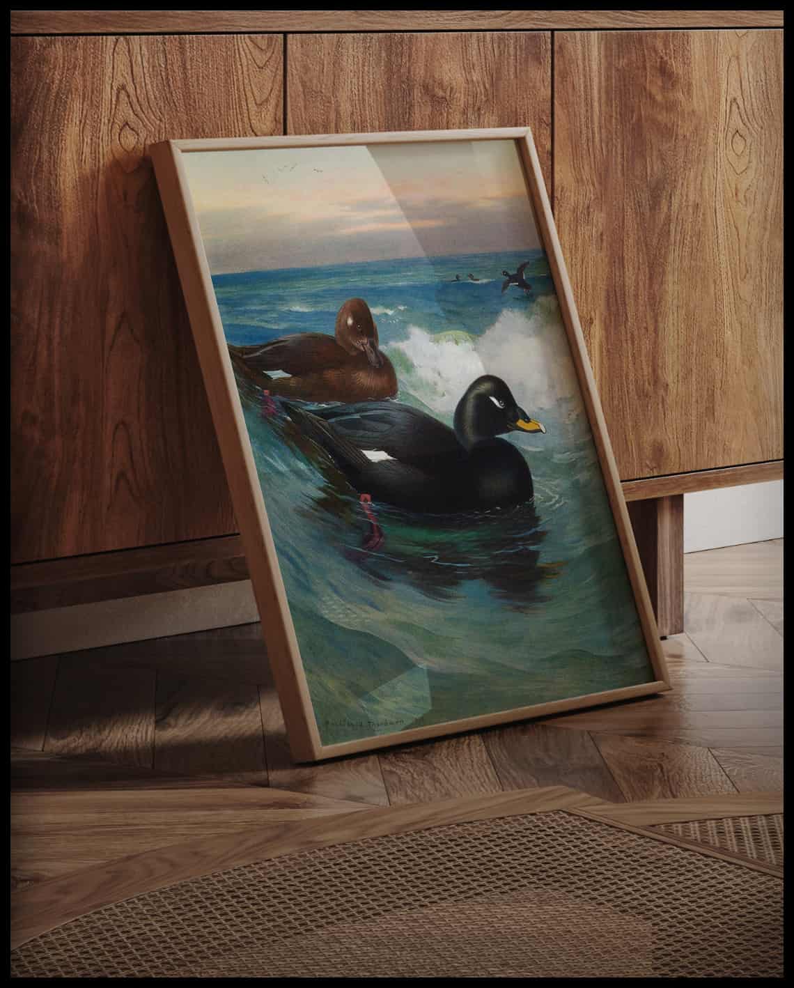 Velvet duck poster