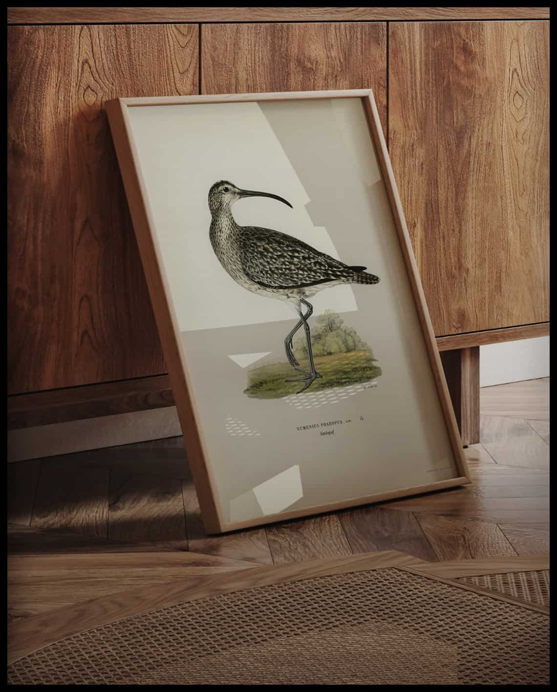 Numenius Phaeopus Poster