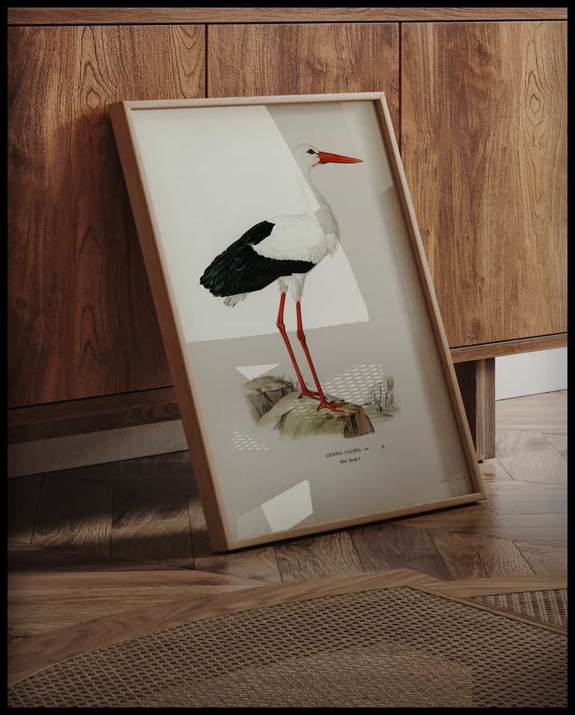Ciconia Ciconia Poster