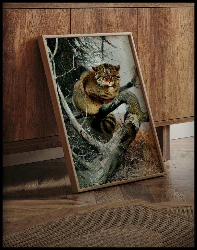 Wild Cat