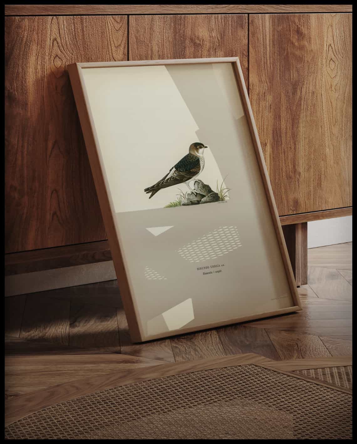 Hirundo Urbica Poster
