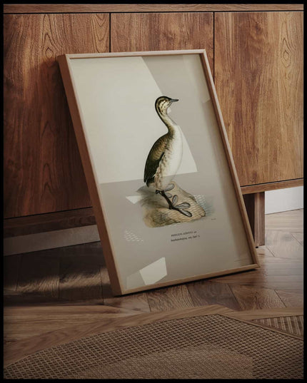 Podiceps Auritus Poster