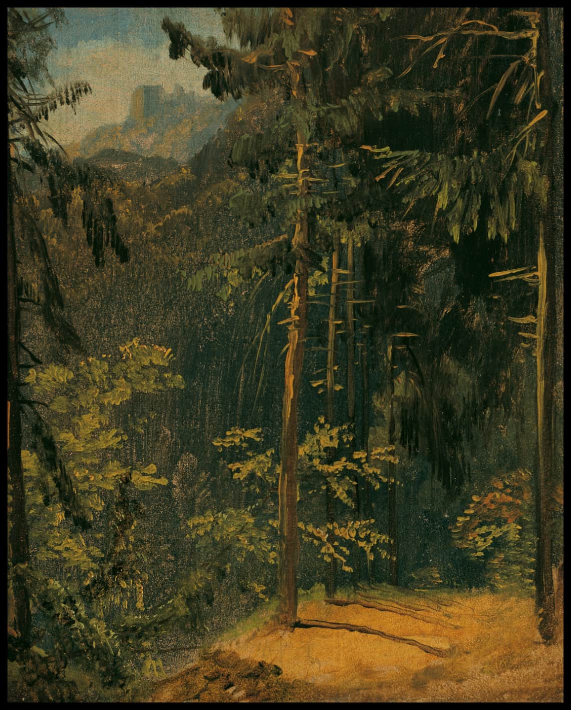 Waldweg im Harz