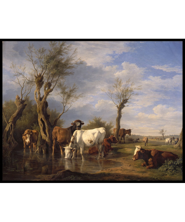 Tiere, darunter eine weiße Kuh im Wasser