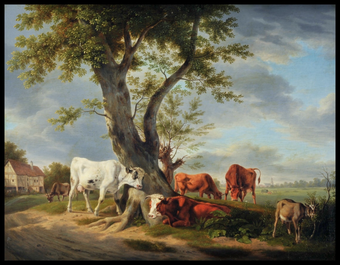 Viehweide mit Baum