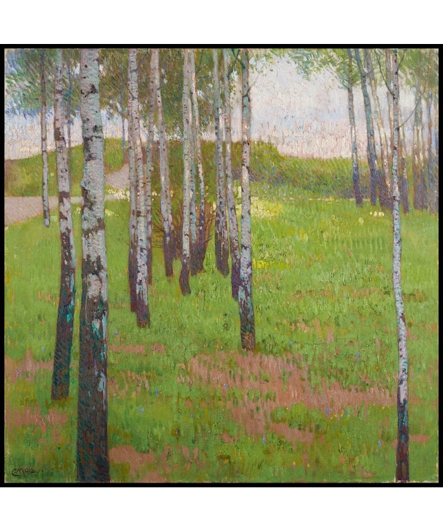 Birkenwäldchen im Abendlicht