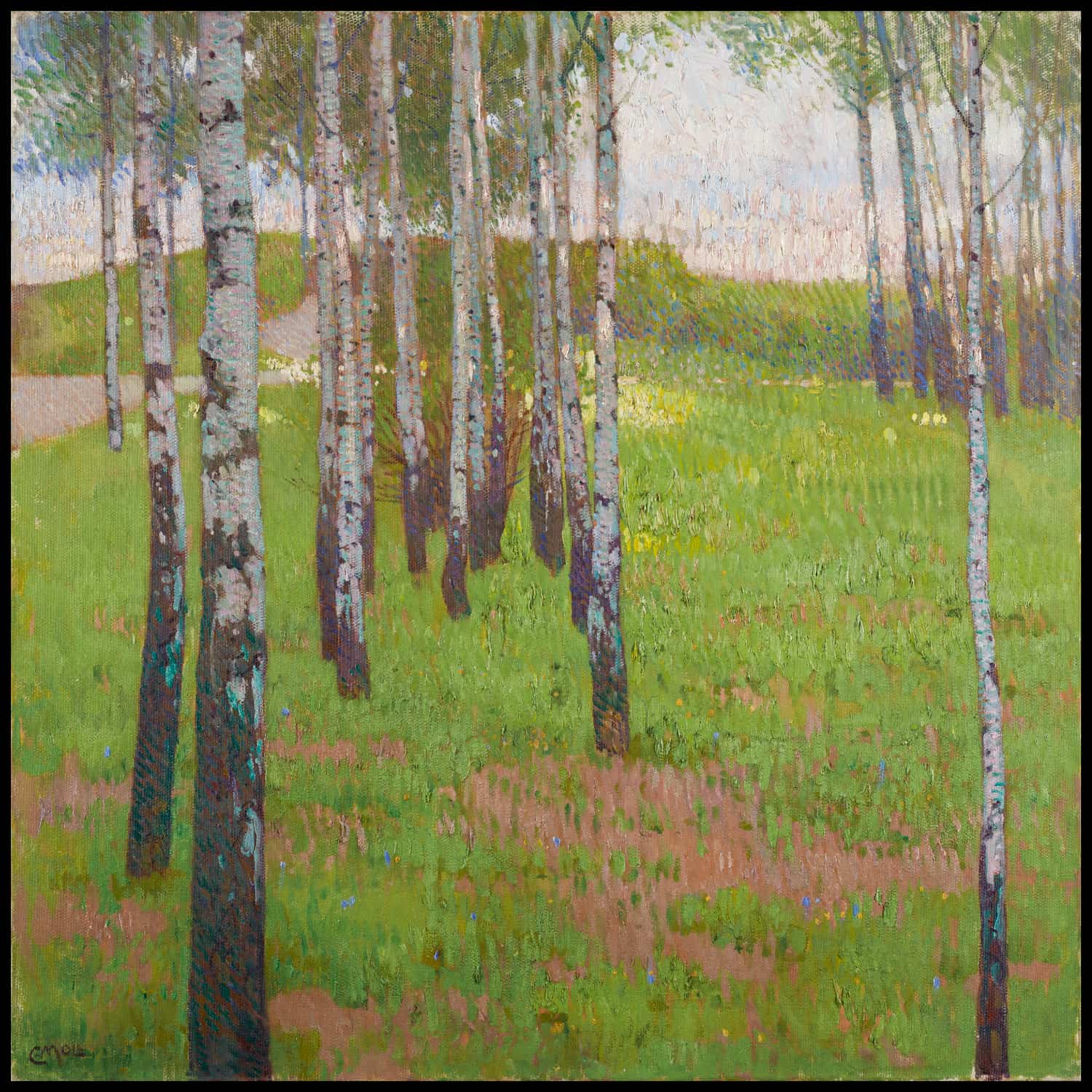Birkenwäldchen im Abendlicht