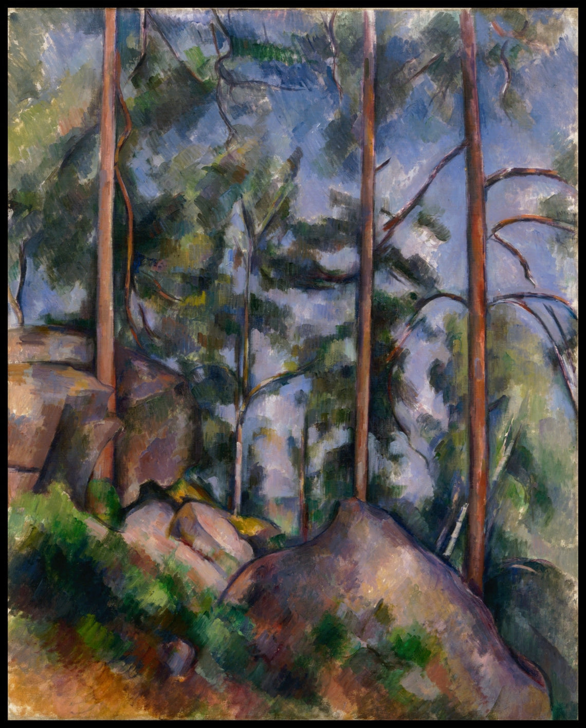 Pines and rocks