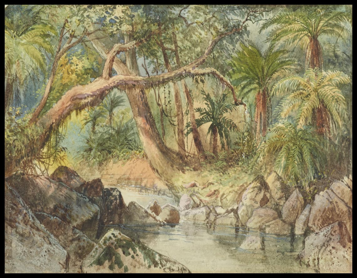 Creek at Holmes Bay