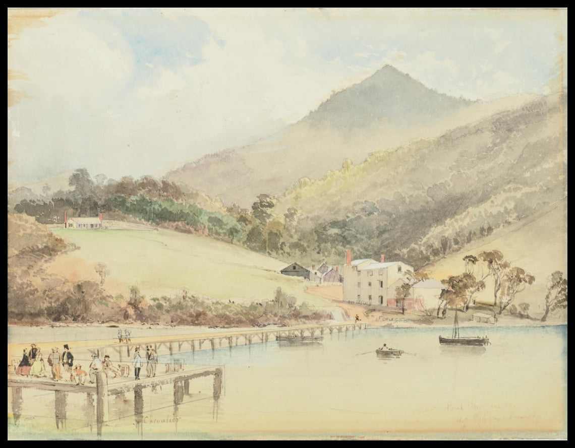 Near Port Chalmers