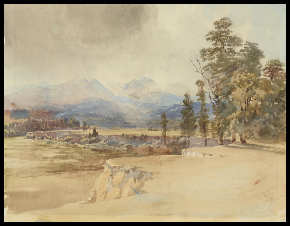 Waipoua