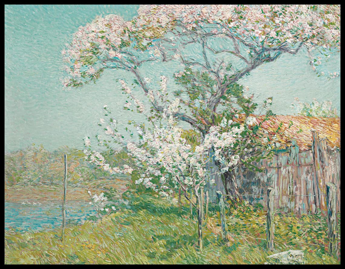 Apple Trees in Bloom, Old Lyme