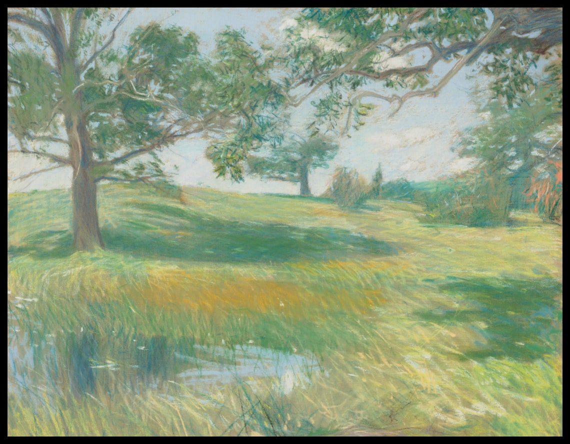 Meadows