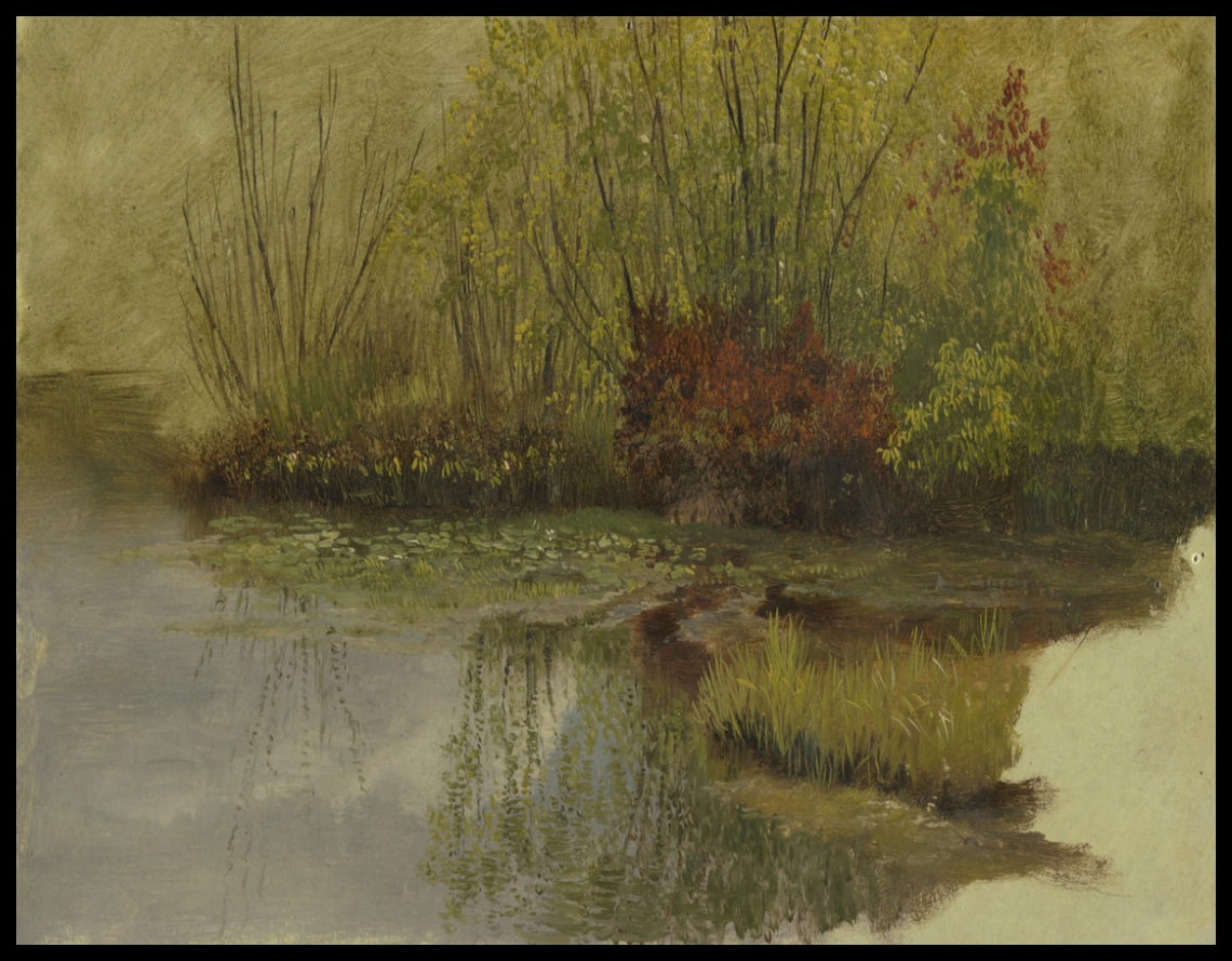 A Corner of a Pond