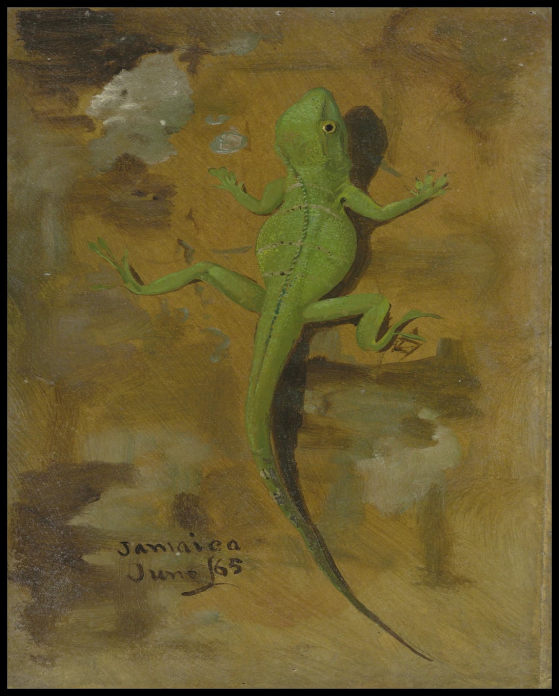 Un lézard