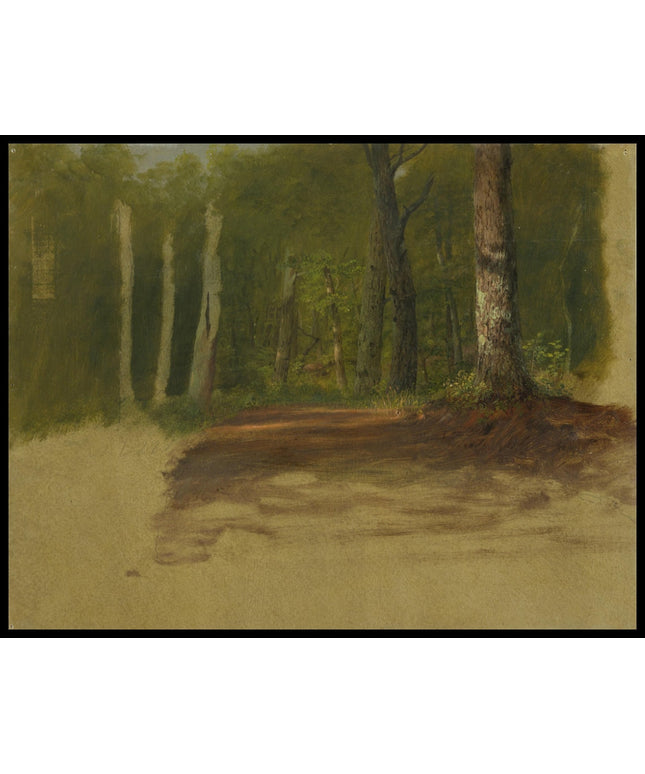 A Road into the Woods