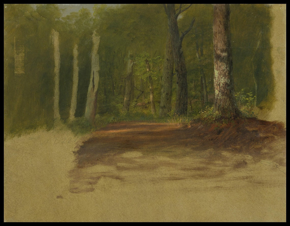 Une route dans les bois