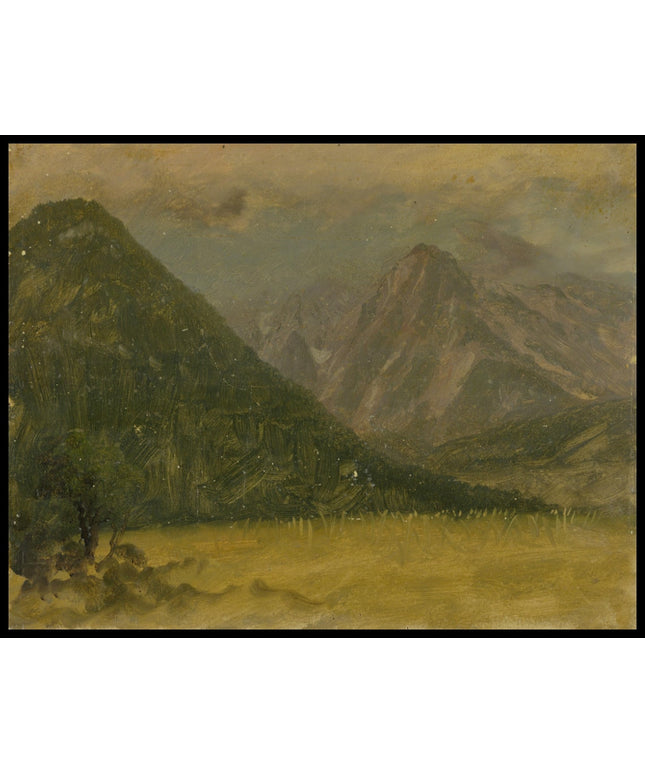 Alpine Landscape