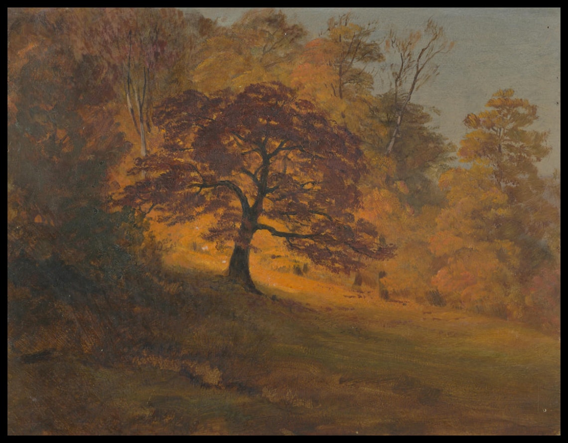 Foliage d'automne