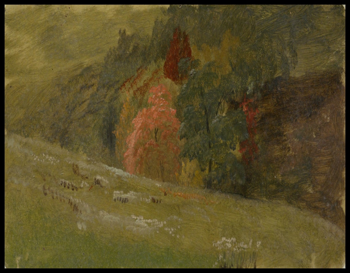Paysage d'automne